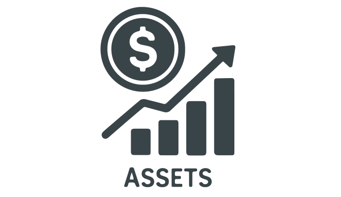 Assets Management